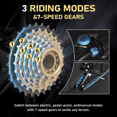Fat Bike Elettrica stile Moto DEEPOWER QS7 2000W