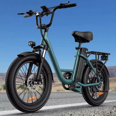 URLIFE E20 1000W Fat Bike Eléctrica | Fatbike Factory