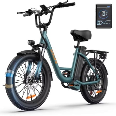 Fat Bike Electrique URLIFE E20 1000W | Fatbike Factory