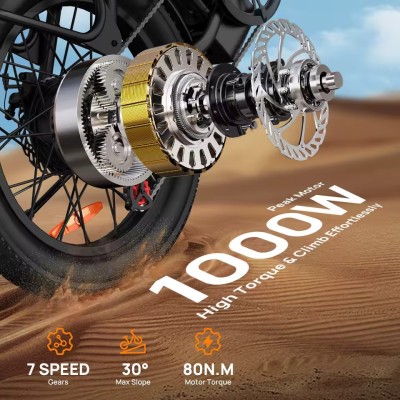 URLIFE E20 1000W Electric Fat Bike | Fatbike Factory