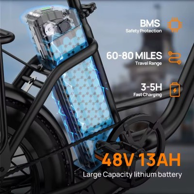 URLIFE E20 1000W Fat Bike Eléctrica | Fatbike Factory