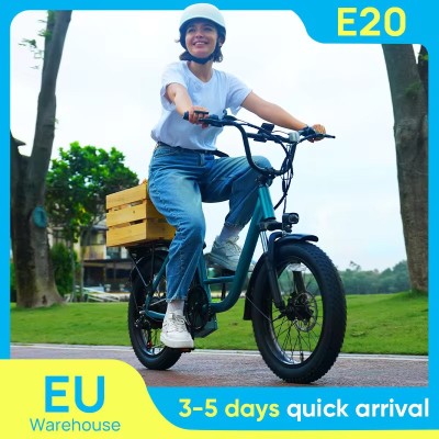 URLIFE E20 1000W Electric Fat Bike | Fatbike Factory