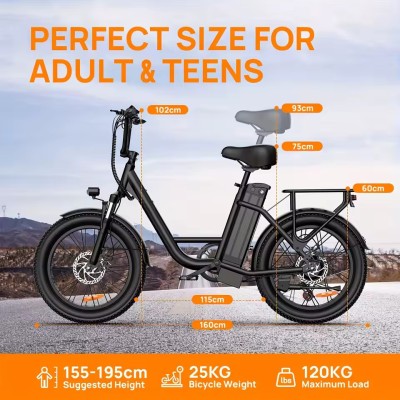 URLIFE E20 1000W E-Fatbike | Fatbike Factory