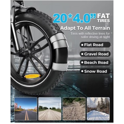 Fat Bike Elettrica Pieghevole SAMEBIKE C05 Pro 250W
