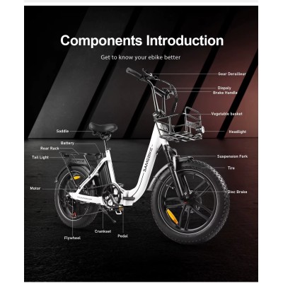 Fat Bike Eléctrica Plegable SAMEBIKE C05 Pro 250W