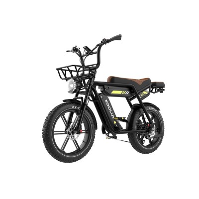 Fatbike elettrica Koolux X9 Pro 750W con doppia batteria - lunga autonomia