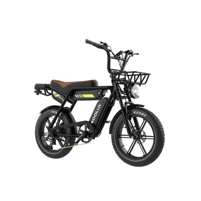 Koolux X9 Pro 750W Dual-Battery Electric Fatbike - Long Range
