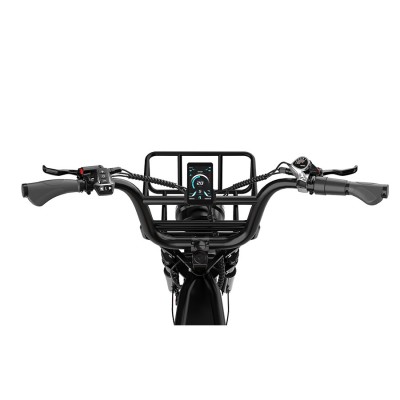 Koolux X9 Pro 750W elektrisk fatbike med dubbelt batteri - lång räckvidd