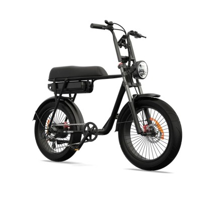 Fatbike Biplace Electrique Compact Cargo Pinscher W1 Series Noir Homologué 250W