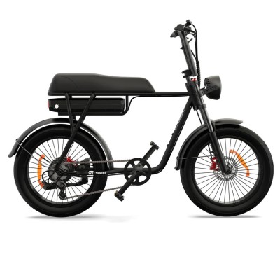 Bicicleta Eléctrica Cargo Biplaza Compacta Pinscher W1 Series