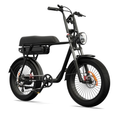 Bicicleta Eléctrica Cargo Biplaza Compacta Pinscher W1 Series
