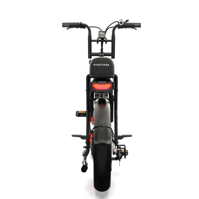 Bicicleta Eléctrica Cargo Biplaza Compacta Pinscher W1 Series
