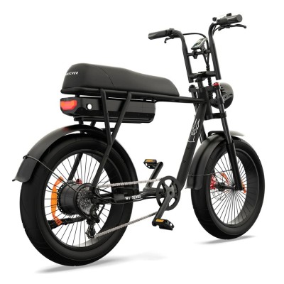 Fat Bike Biplace Electrique Compact Cargo Pinscher W1 Series Noir