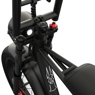 Fat Bike Biplace Electrique Compact Cargo Pinscher W1 Series Noir