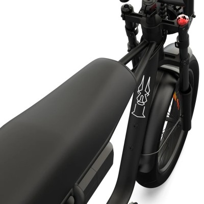 Bicicleta Eléctrica Cargo Biplaza Compacta Pinscher W1 Series