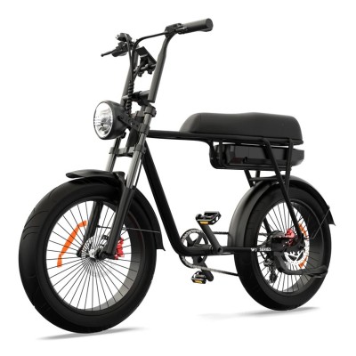 Bicicleta Eléctrica Cargo Biplaza Compacta Pinscher W1 Series