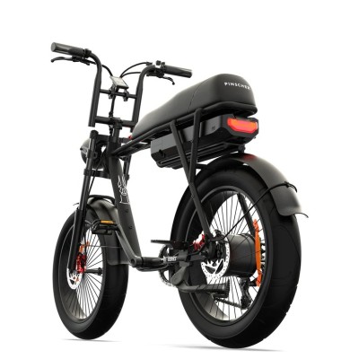 Bicicleta Eléctrica Cargo Biplaza Compacta Pinscher W1 Series