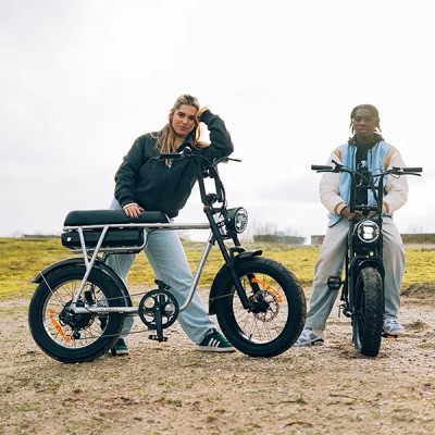 Fatbike Elettrica Biposto Cargo Compatta 250W – Pinscher Serie W1 Argento