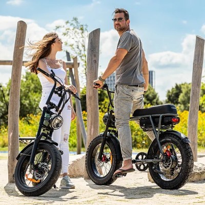 Elektrisches Fatbike 250W Kompakt Cargo für Zwei – Pinscher W1 Serie Silber