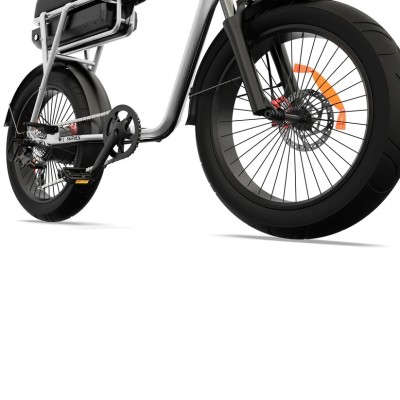 Elektrisches Fatbike 250W Kompakt Cargo für Zwei – Pinscher W1 Serie Silber