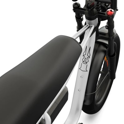 Fatbike Elettrica Biposto Cargo Compatta 250W – Pinscher Serie W1 Argento