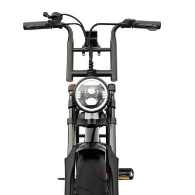 Fatbike Elettrica Biposto Cargo Compatta 250W – Pinscher Serie W1 Argento