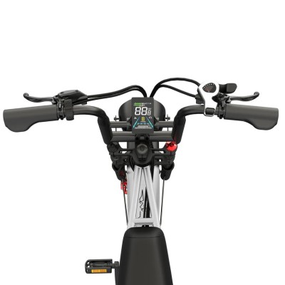 Elektrisches Fatbike 250W Kompakt Cargo für Zwei – Pinscher W1 Serie Silber