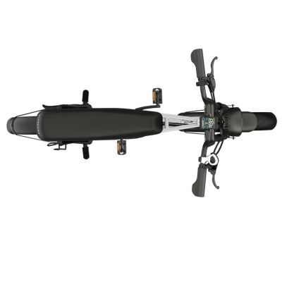 Elektrisches Fatbike 250W Kompakt Cargo für Zwei – Pinscher W1 Serie Silber