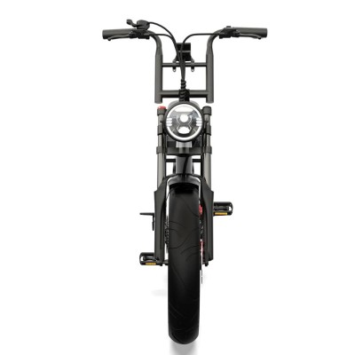 Elektrisches Fatbike 250W Kompakt Cargo für Zwei – Pinscher W1 Serie Silber