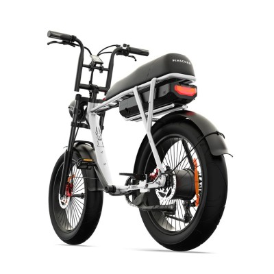 Fatbike Elettrica Biposto Cargo Compatta 250W – Pinscher Serie W1 Argento