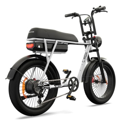 Elektrisches Fatbike 250W Kompakt Cargo für Zwei – Pinscher W1 Serie Silber