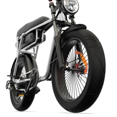 Elektrisches Fatbike 250W Kompakt Cargo für Zwei – Pinscher W1 Serie Silber