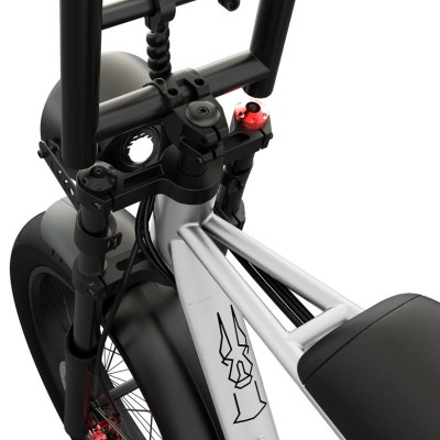 Elektrisches Fatbike 250W Kompakt Cargo für Zwei – Pinscher W1 Serie Silber