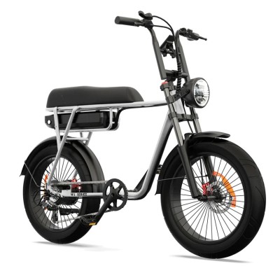 Elektrisches Fatbike 250W Kompakt Cargo für Zwei – Pinscher W1 Serie Silber