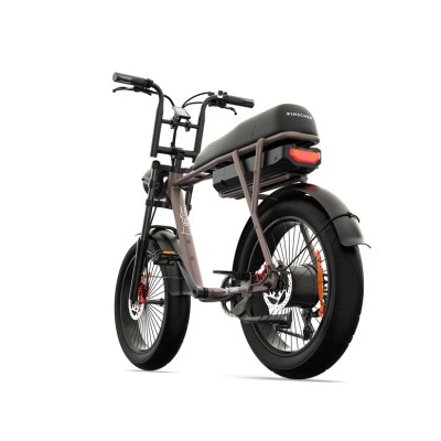 Fatbike Elettrica Biposto Cargo Compatta 250W – Pinscher Serie W1 Caffè