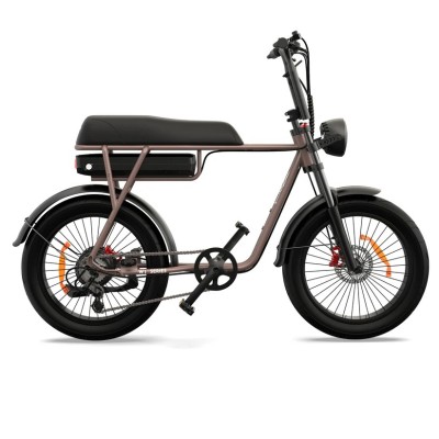 Fatbike Elettrica Biposto Cargo Compatta 250W – Pinscher Serie W1 Caffè