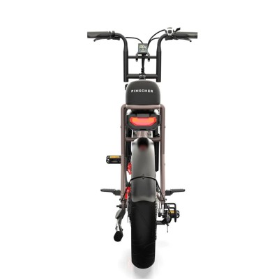 Fatbike Elettrica Biposto Cargo Compatta 250W – Pinscher Serie W1 Caffè