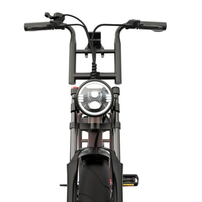 Fatbike Elettrica Biposto Cargo Compatta 250W – Pinscher Serie W1 Caffè