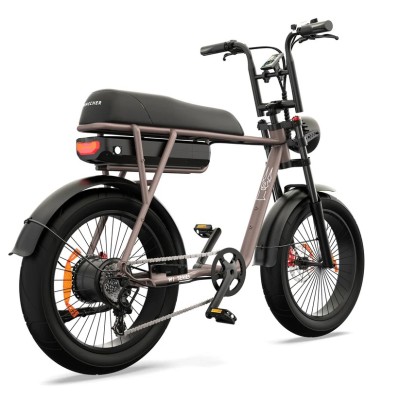 Fatbike Elettrica Biposto Cargo Compatta 250W – Pinscher Serie W1 Caffè