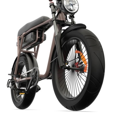 Fatbike Elettrica Biposto Cargo Compatta 250W – Pinscher Serie W1 Caffè