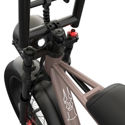 Fatbike Elettrica Biposto Cargo Compatta 250W – Pinscher Serie W1 Caffè