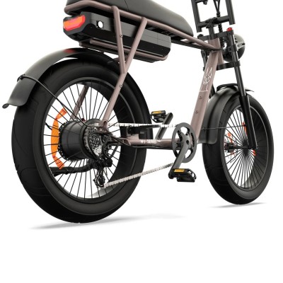 Fatbike Elettrica Biposto Cargo Compatta 250W – Pinscher Serie W1 Caffè