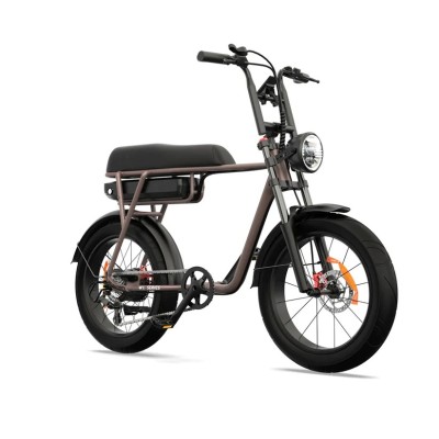 Fatbike Elettrica Biposto Cargo Compatta 250W – Pinscher Serie W1 Caffè