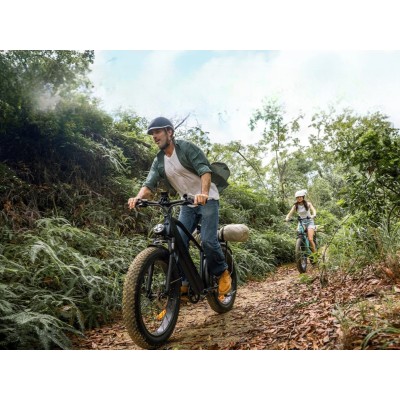 Elektrisches Fatbike Engwe E26 Grau | 250W 48V 16Ah (26×4.0)