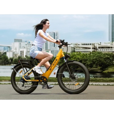 Elektrisches Fatbike Engwe E26 Grau | 250W 48V 16Ah (26×4.0)