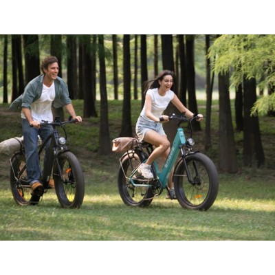 Elektrisches Fatbike Engwe E26 Grau | 250W 48V 16Ah (26×4.0)