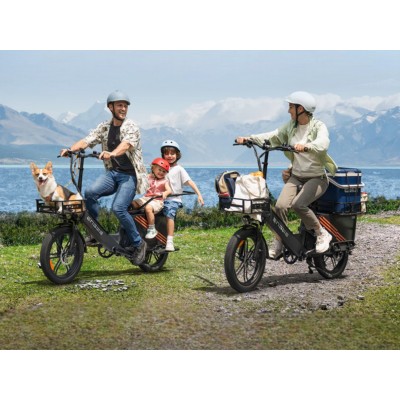 Bici Cargo Elettrica Fat Bike Engwe LE20 Passenger Grigio