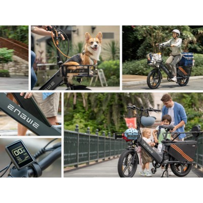 Bici Cargo Elettrica Fat Bike Engwe LE20 Passenger Grigio