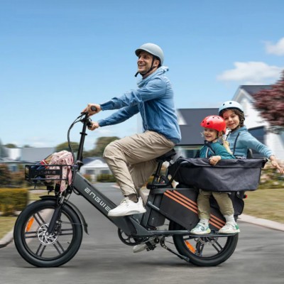 Bici Cargo Elettrica Fat Bike Engwe LE20 Passenger Blu