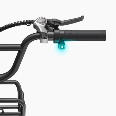 Faltbares Elektrisches Fat Bike Engwe L20 Boost Schwarz